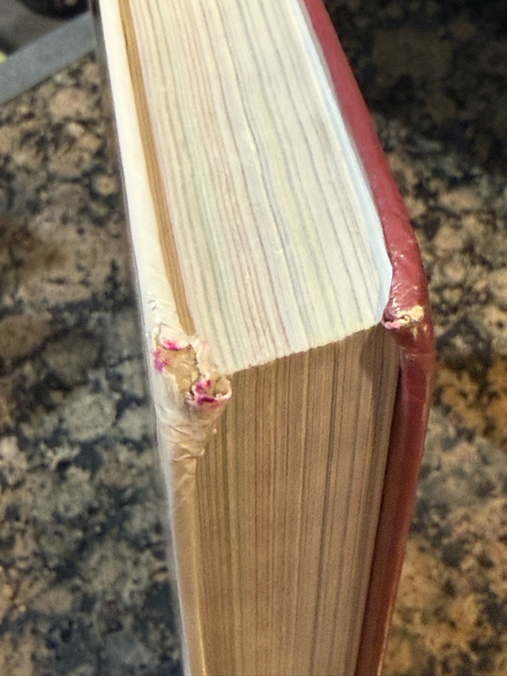 MILADY®️ STANDARD FUNDAMENTAL ESTHETICS HARD COVER BOOK | USED COPY - Picture 6 of 9